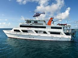 Reef marine life